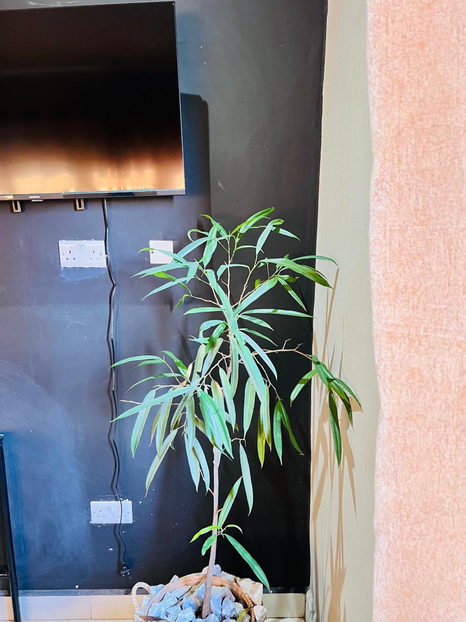 The Shed Venue & Boutique Hotel Лилонгве Екстериор снимка